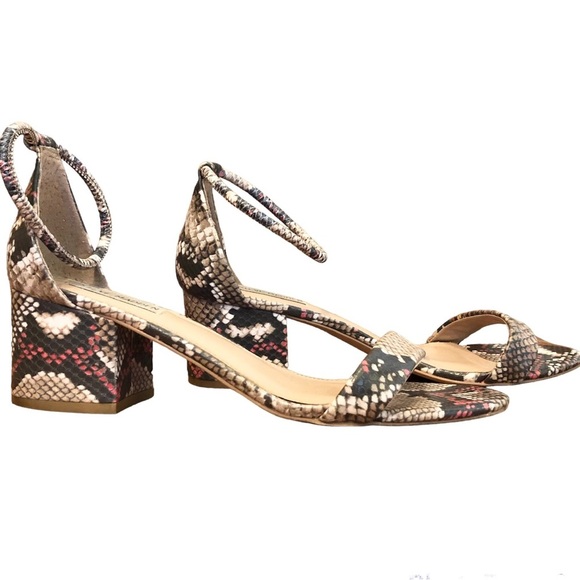🌈 6/$60, Steve Madden, Ibbie, Snake Print Sandal, Brown/Red, Size 8.5 - Picture 3 of 11